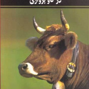 بیماری های متابولیکی و تغذیه ای در گاوپرواری
