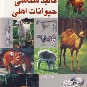 تشریح و کالبدشناسی حیوانات اهلی