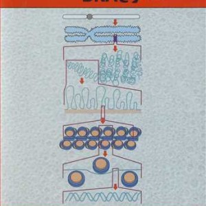 کتاب راهنمای نظری و عملی استخراج DNA