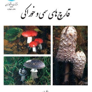 قارچ سمی و خوراکی