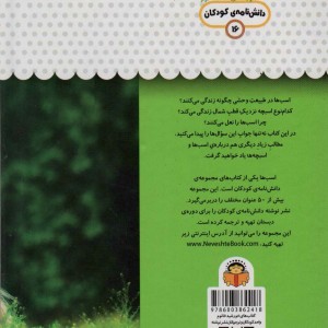 یک فنجان دانستنی درباره ی اسب ها