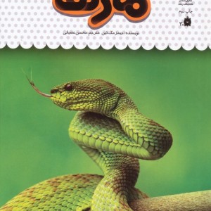 یک فنجان دانستنی درباره ی مار ها