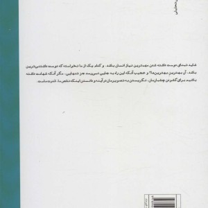 در دام کمال طلبی