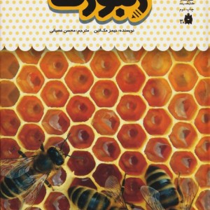 یک فنجان دانستنی درباره ی زنبورها