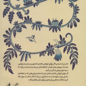 کتاب اگر رویای کوچکی داشتم
