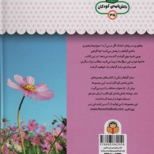 یک فنجان دانستنی درباره ی رشد گیاهان