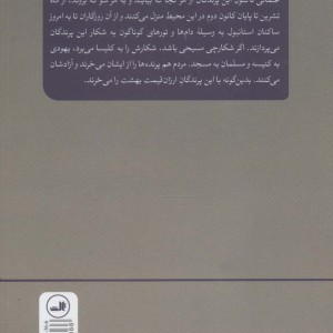 پرندگان نیز رفتند