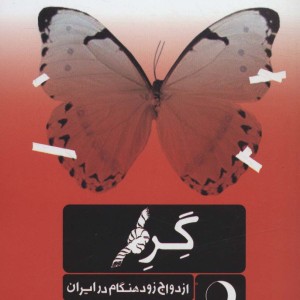 گره نشر ماهریس