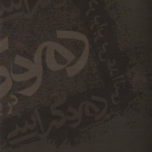 دموکراسی در برابر بی عدالتی