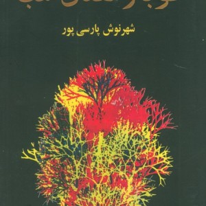 طوبا و معنای شب