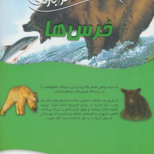 100 حقیقت درباره ی خرس ها