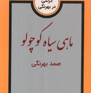 کتاب ماهی سیاه کوچولو از قصه های صمد بهرنگی نشر سمیر