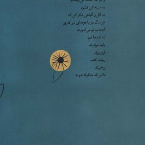 خورشید و گل هایش