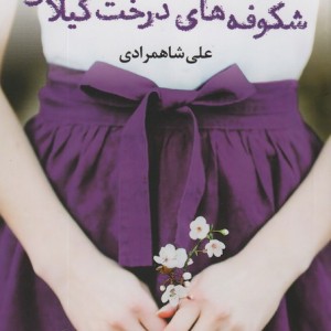 شکوفه های درخت گیلاس
