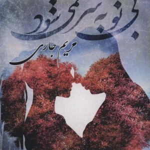کتاب بی تو به سر نمی شود