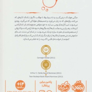 آشوب مدام