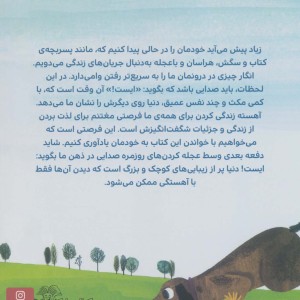 زود باش