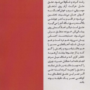 وقتی کلاغ ها بر می گردند