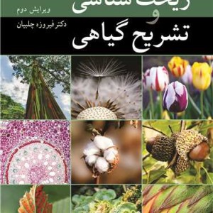ریخت شناسی و تشریح گیاهی