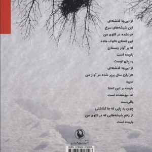 ما وارث تمام حواس پرتی های جهان بودیم