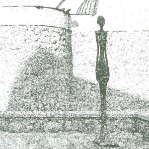 من و او نشر کرگدن