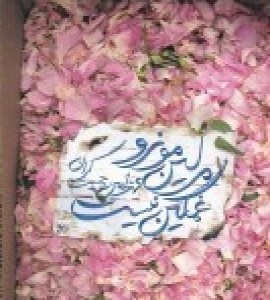 کتاب مرلین مونرو غمگین نیست
