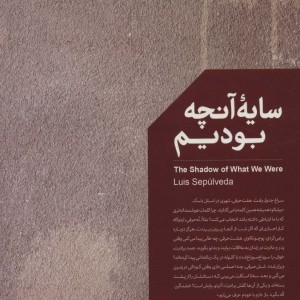 سایه ی آنچه بودیم