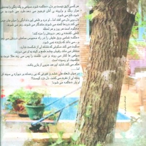 حاکم نشر آراسبان