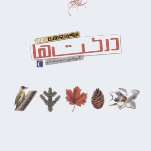 شگفتی های جهان درخت ها