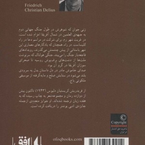 تصویر مادر در قاب جوانی