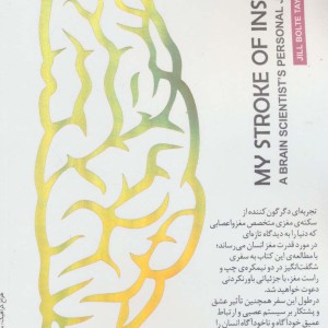 قدرت اعجاب انگیز نیمکره های مغز