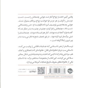 سلاخ خانه کوچک شهر