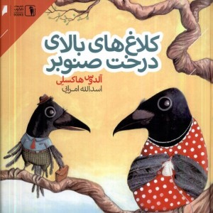 کلاغ های بالای درخت صنوبر