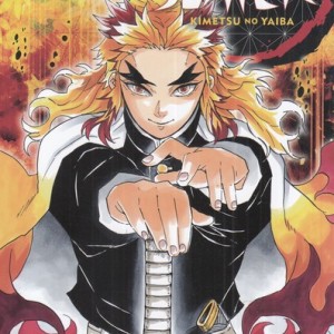 مجموعه مانگا DEMON SLAYER 8