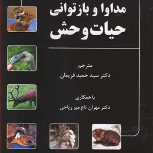 مداوا و بازتوانی حیات وحش