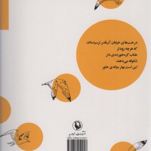کمی خورشید لای در مانده