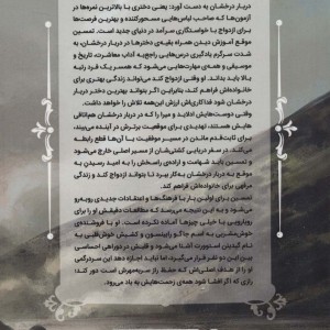 دربار درخشان 3 - ریشل مید