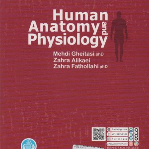 آناتومی و فیزیولوژی انسانی