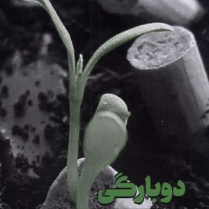 دوبارگی