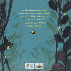 تاد