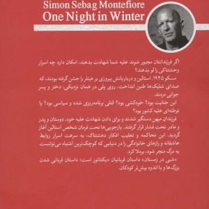 شبی در زمستان