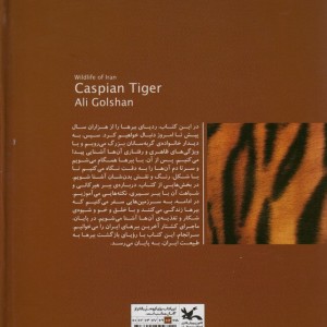 ببر هیرکانی