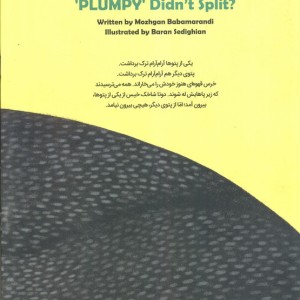 چرا پتوی گامبالو پاره نشده بود؟