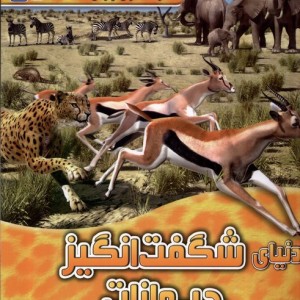 دنیای شگفت انگیز حیوانات - جانسون، جینی
