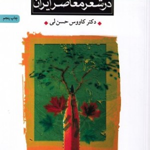 گونه های نوآوری در شعر معاصر ایران