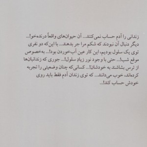 گفتگوهایی با پروفسور ایگرگ