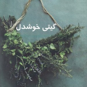 آفرینش حرفه ایده آل