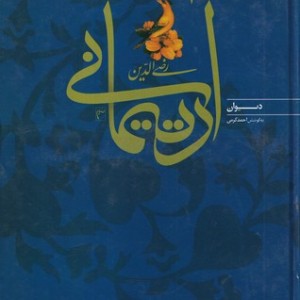 دیوان رضی الدین آرتیمانی