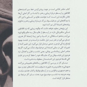 از زیبایی متافیزیکی تا زیبایی هنری