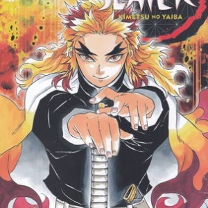 کتاب اورجینال شیطان کش 8 demon slayer 8